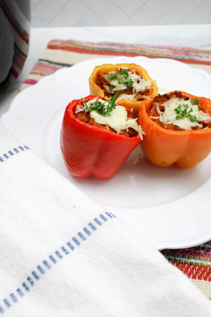 Easy Air Fryer Stuffed Peppers with Ground Turkey
